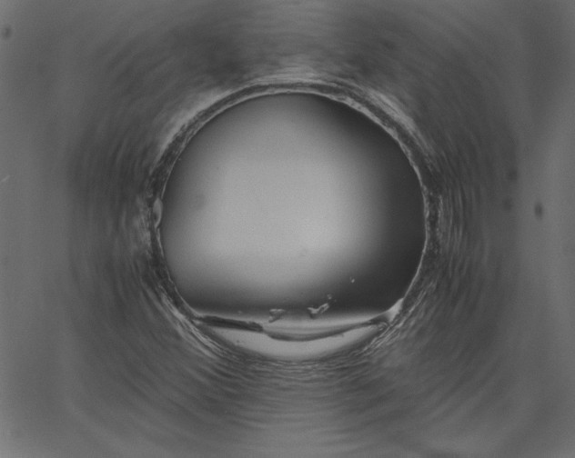 X0000067831356200604271544