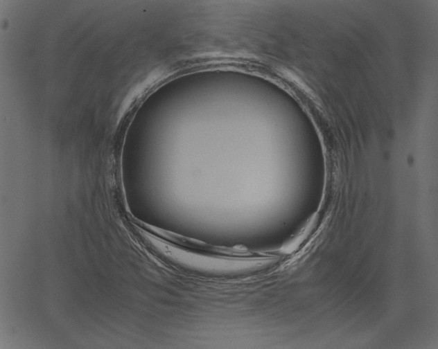 X0000067831357200604271544