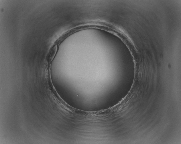 X0000067831360200604271544