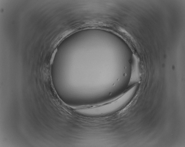 X0000067831361200604271544