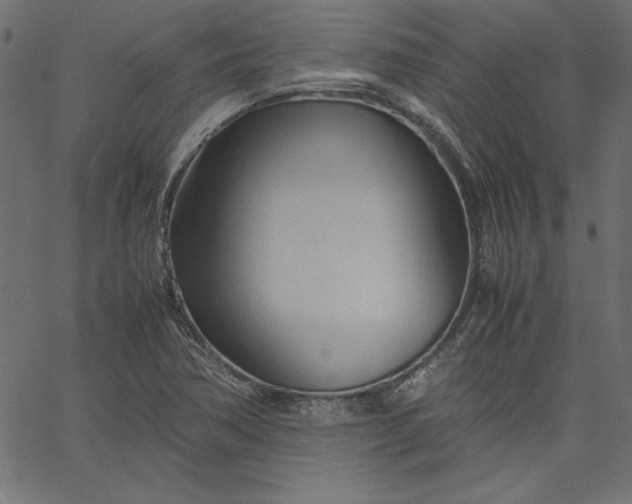 X0000067831362200604271544