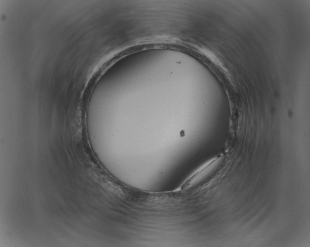 X0000067831364200604271544