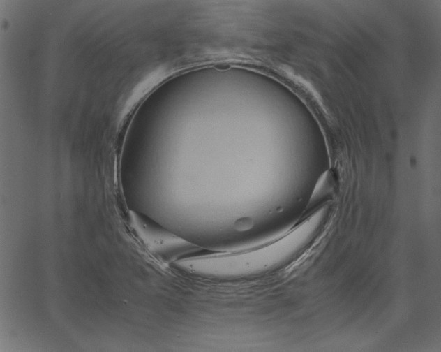 X0000067831365200604271543