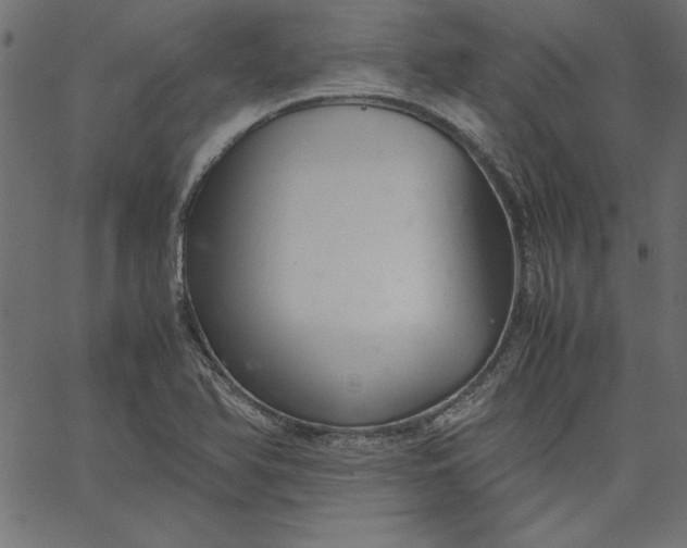 X0000067831366200604271543