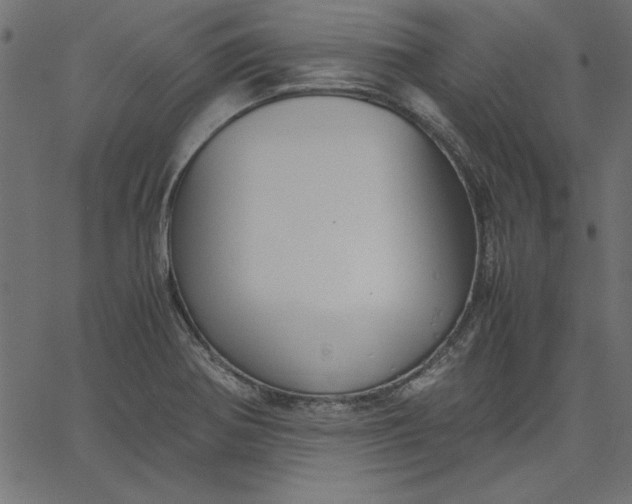 X0000067831370200604271543