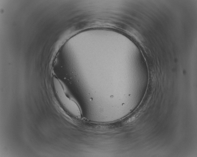 X0000067831371200604271543