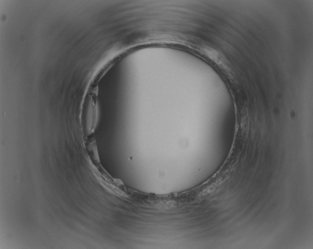 X0000067831372200604271543