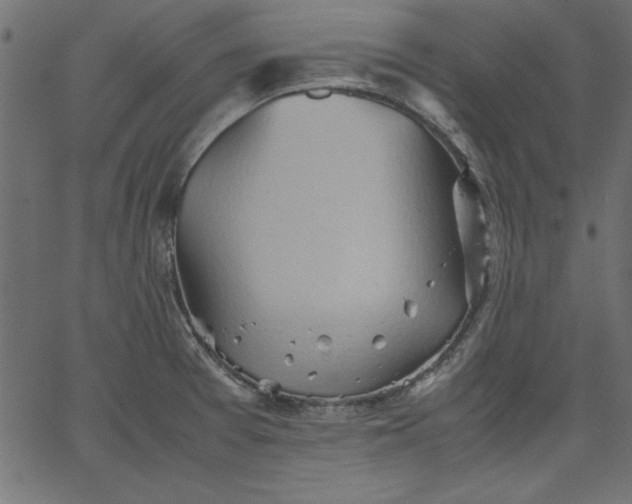 X0000067831377200604271543