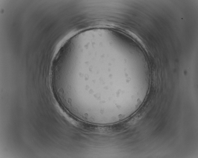 X0000067831379200604271543