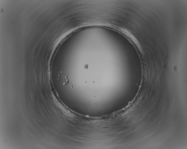 X0000067831380200604271543