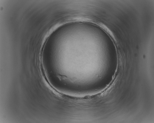 X0000067831381200604271543