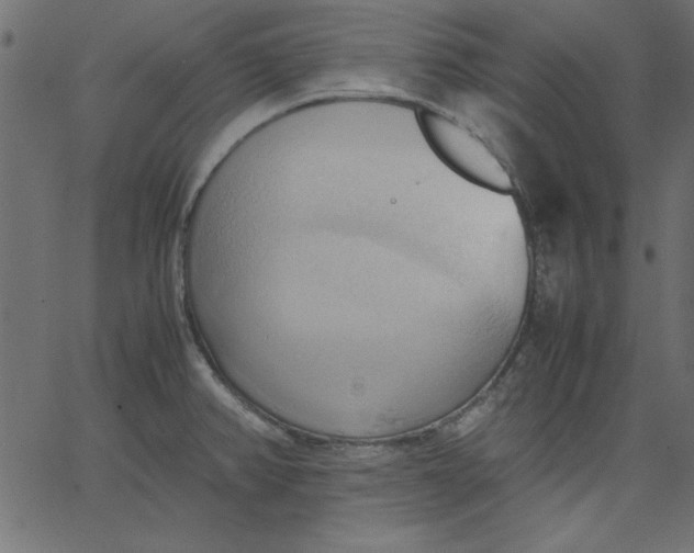 X0000067831382200604271543