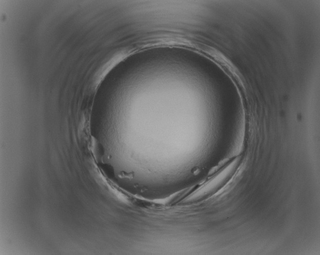 X0000067831385200604271543