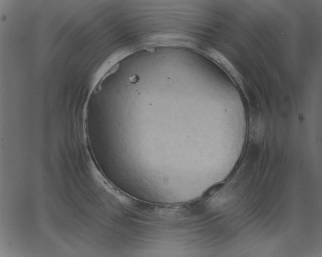 X0000067831386200604271543