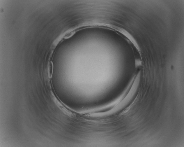 X0000067831388200604271543