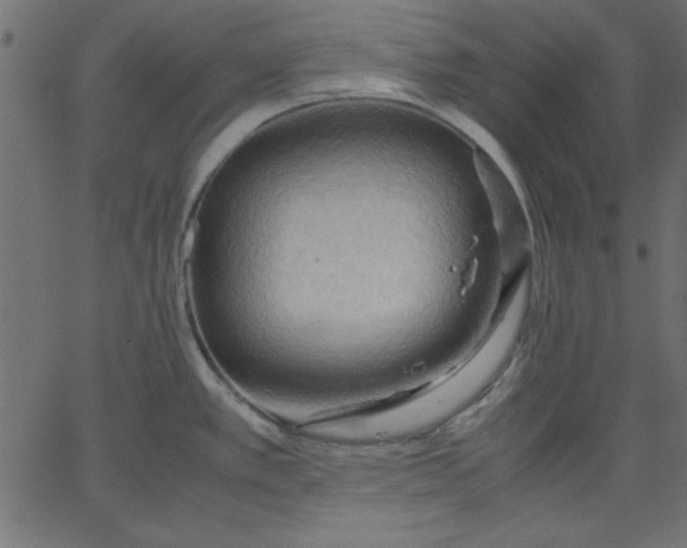 X0000067831389200604271543