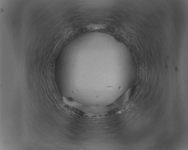 X0000067831393200604271542