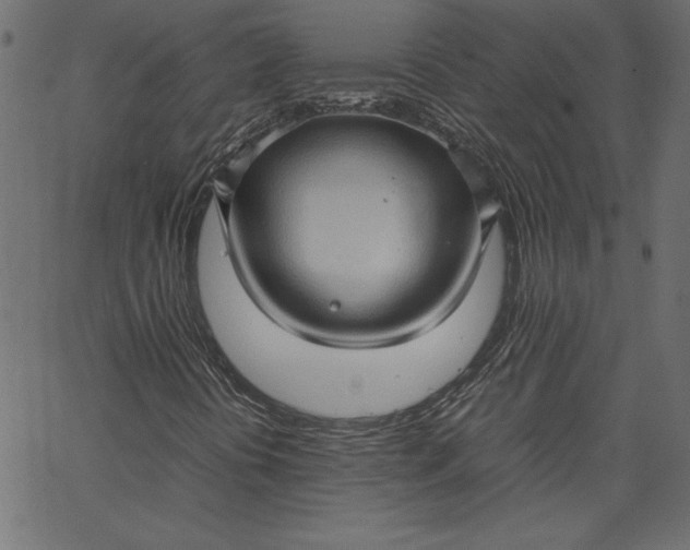 X0000067831394200604271542