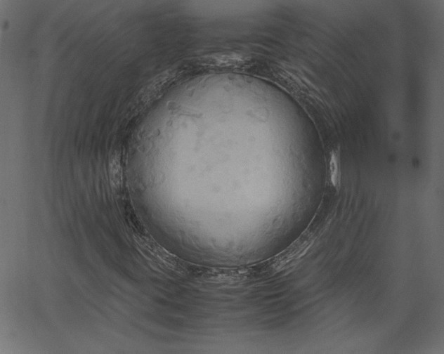 X0000067831395200604271542