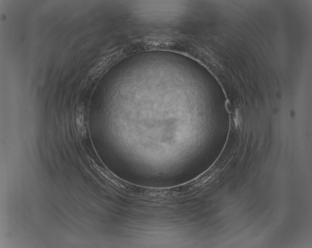 X0000067831396200604271542