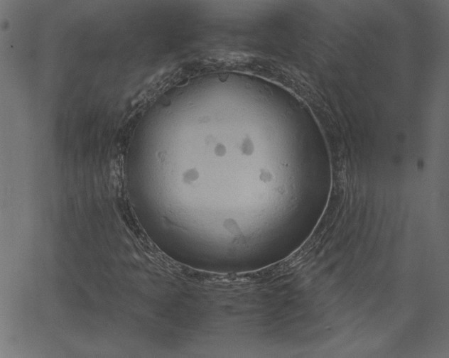 X0000067831397200604271542