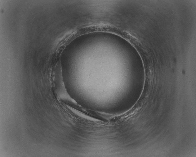 X0000067831398200604271542