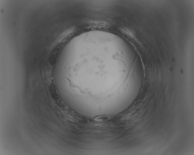 X0000067831399200604271542