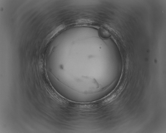 X0000067831401200604271542