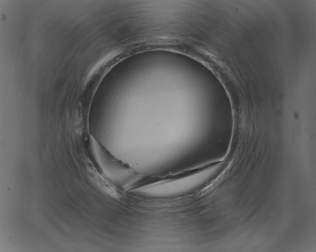 X0000067831402200604271542