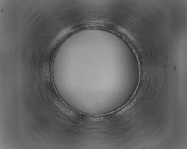 X0000067831403200604271542