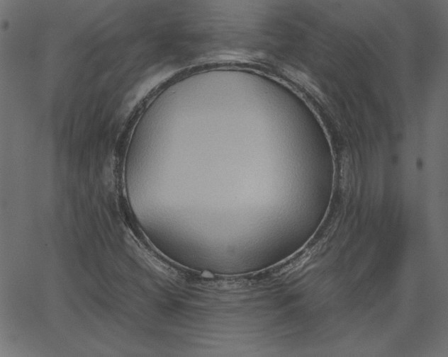 X0000067831404200604271542