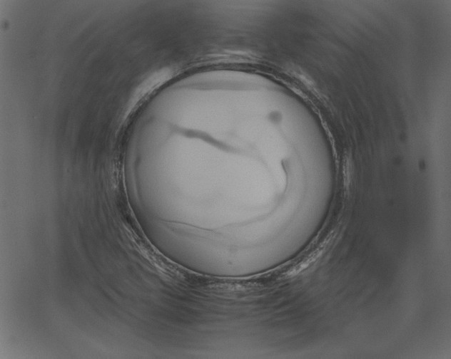 X0000067831405200604271542