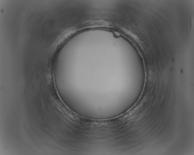 X0000067831407200604271542