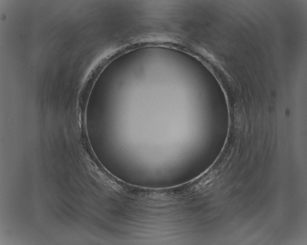 X0000067831408200604271542