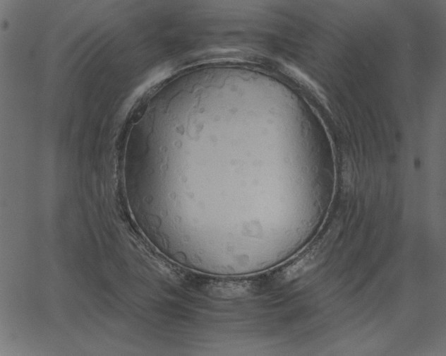 X0000067831411200604271542