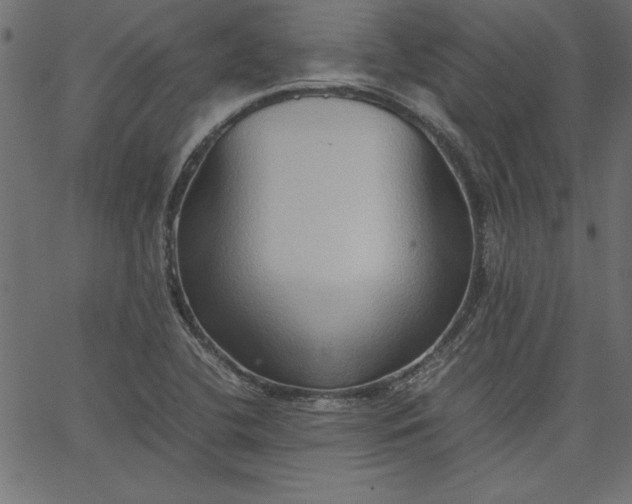 X0000067831412200604271542