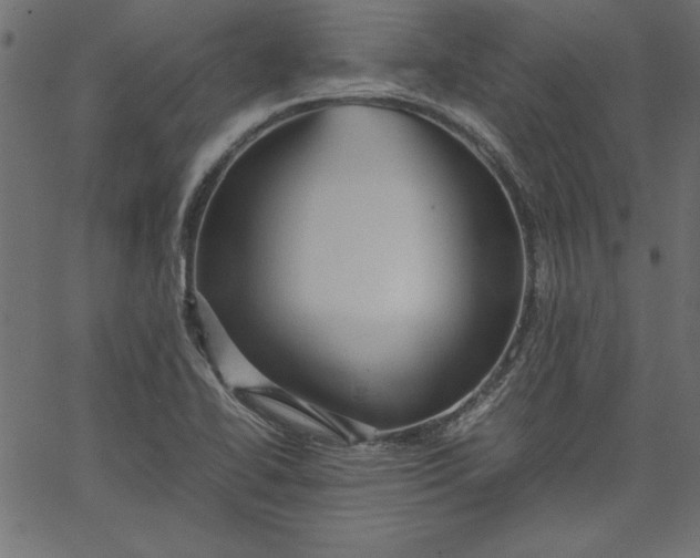 X0000067831414200604271542