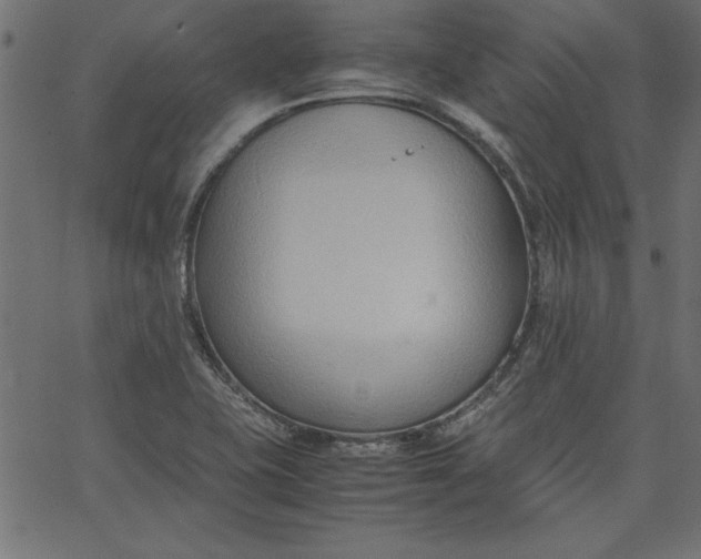 X0000067831415200604271542