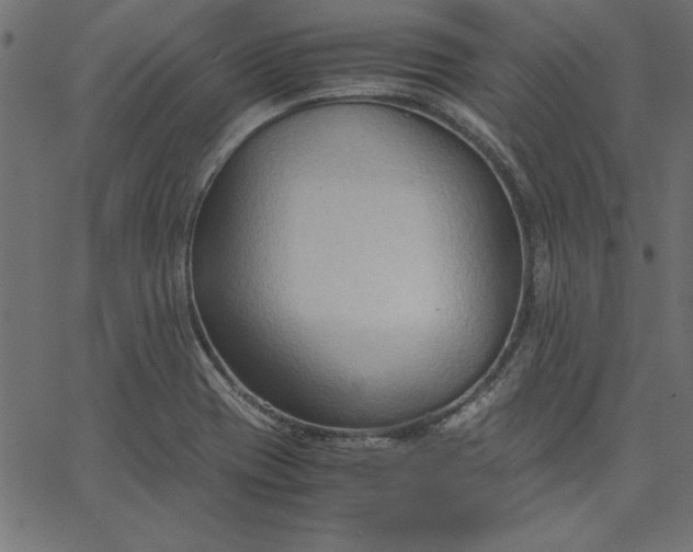 X0000067831417200604271543