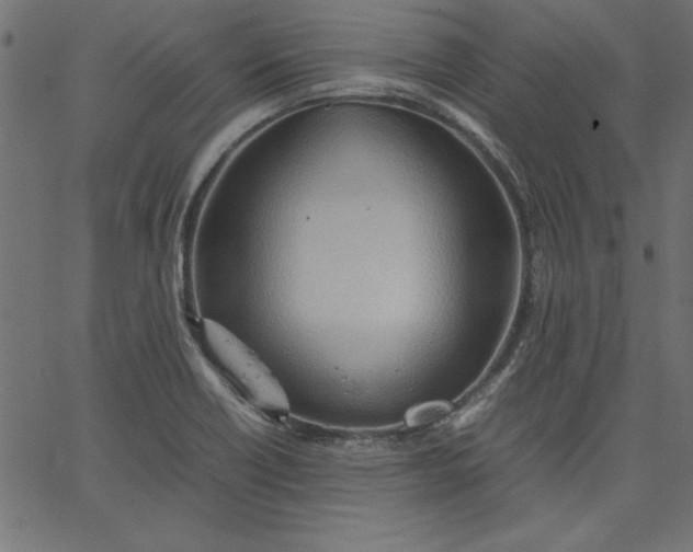 X0000067831418200604271543