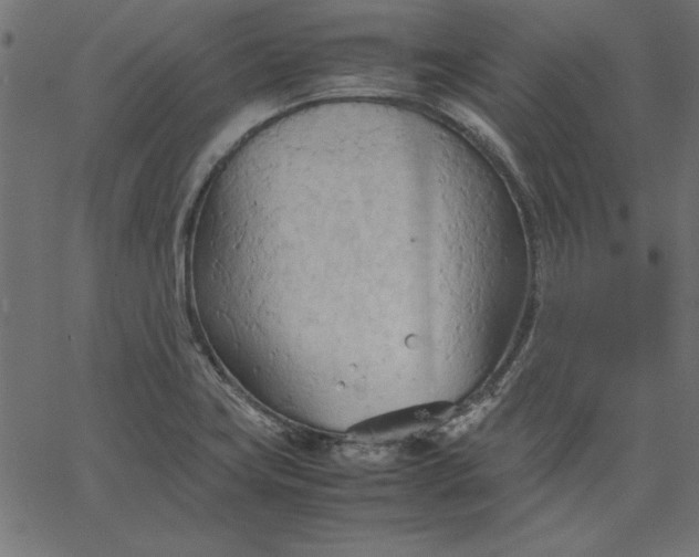 X0000067831419200604271543