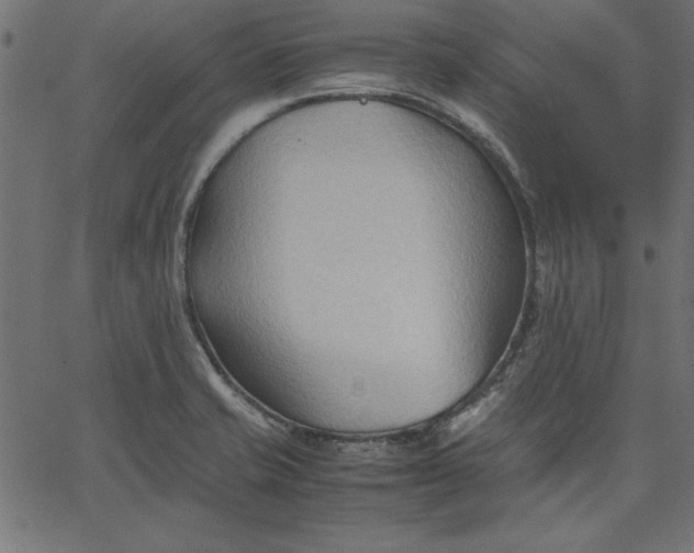 X0000067831421200604271543