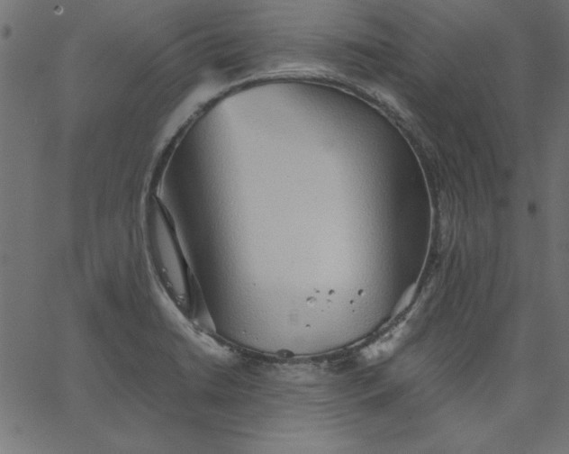 X0000067831422200604271543