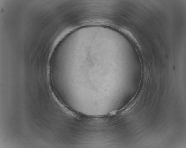 X0000067831424200604271543