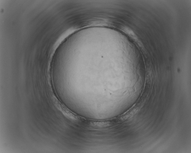 X0000067831427200604271543