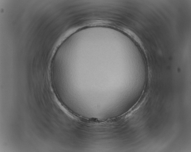 X0000067831429200604271543