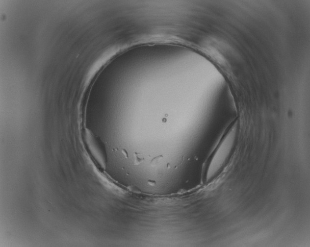 X0000067831430200604271543