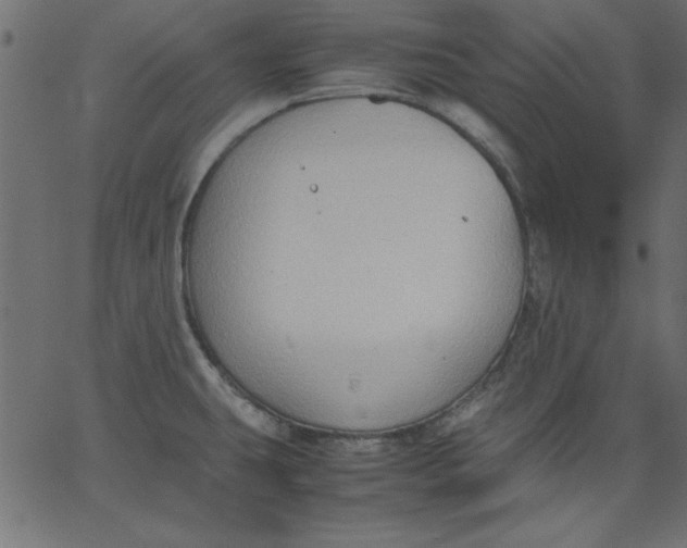 X0000067831431200604271543