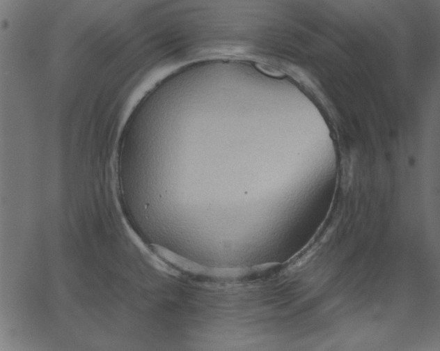 X0000067831432200604271543