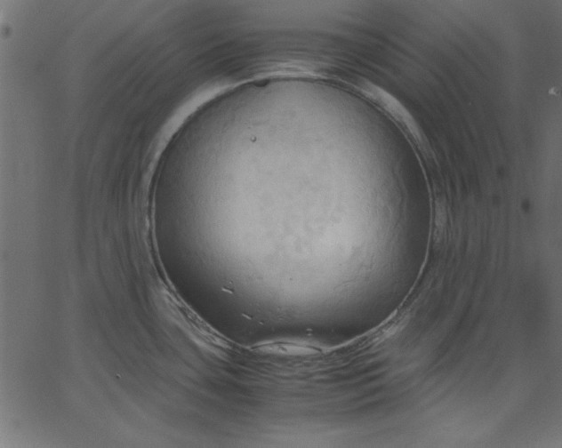 X0000067831435200604271543